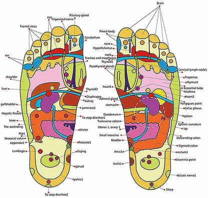 Spring Acupressure and Magnetic Therapy Massager Slipper
