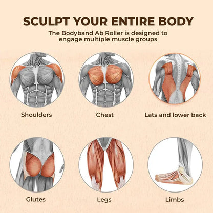 Abdominal Exercise Roller assorted color